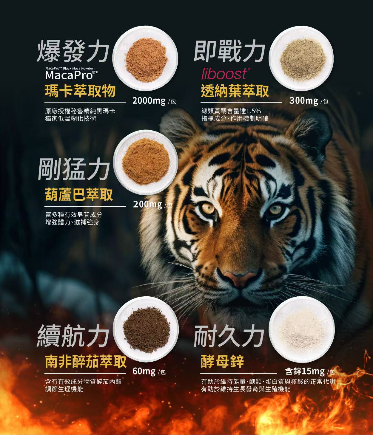 微信图片_20260512180642_237_2.jpg